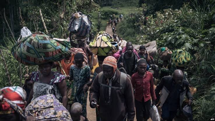 Situation des droits humains à l'est de la RDC